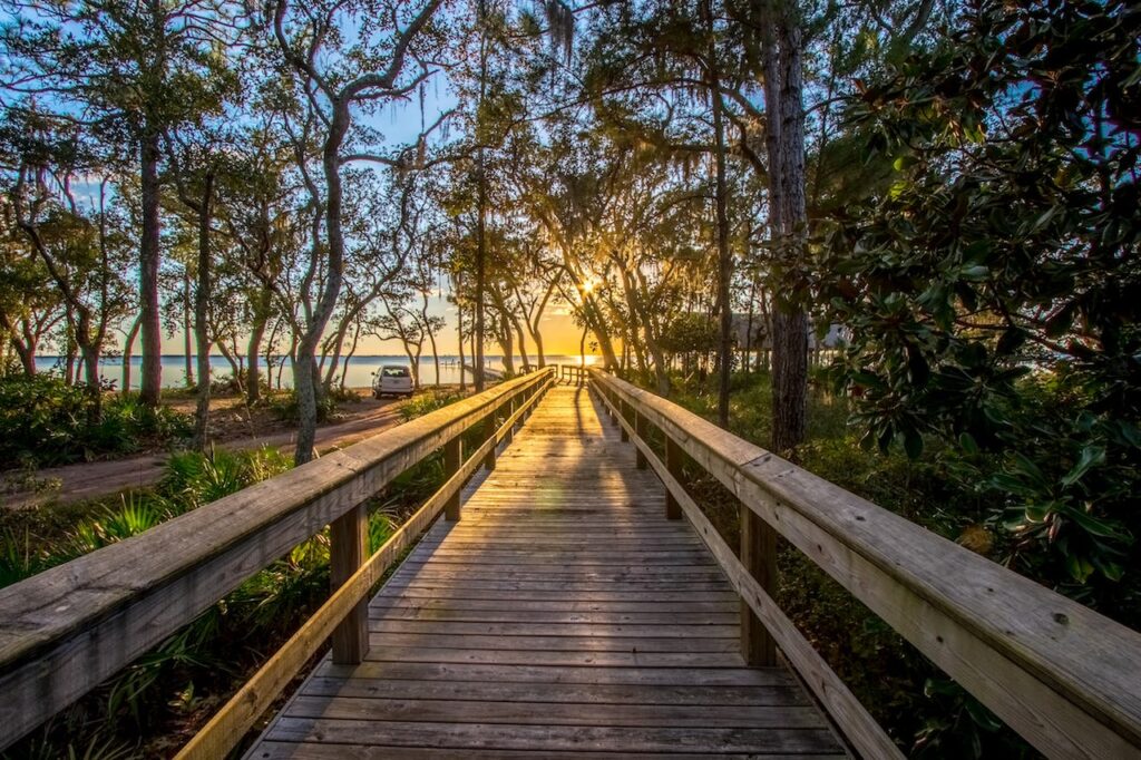 Beautiful path in nature, Freeport, Florida