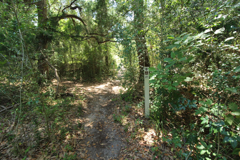Hiking trails are popular in Palm Coast.