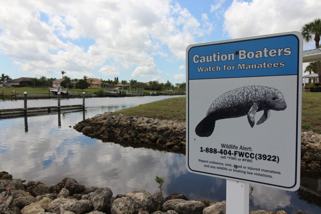 Watch out for Manatees in Port St Lucie, another great incentive for building a Holiday Builders home in this area.
