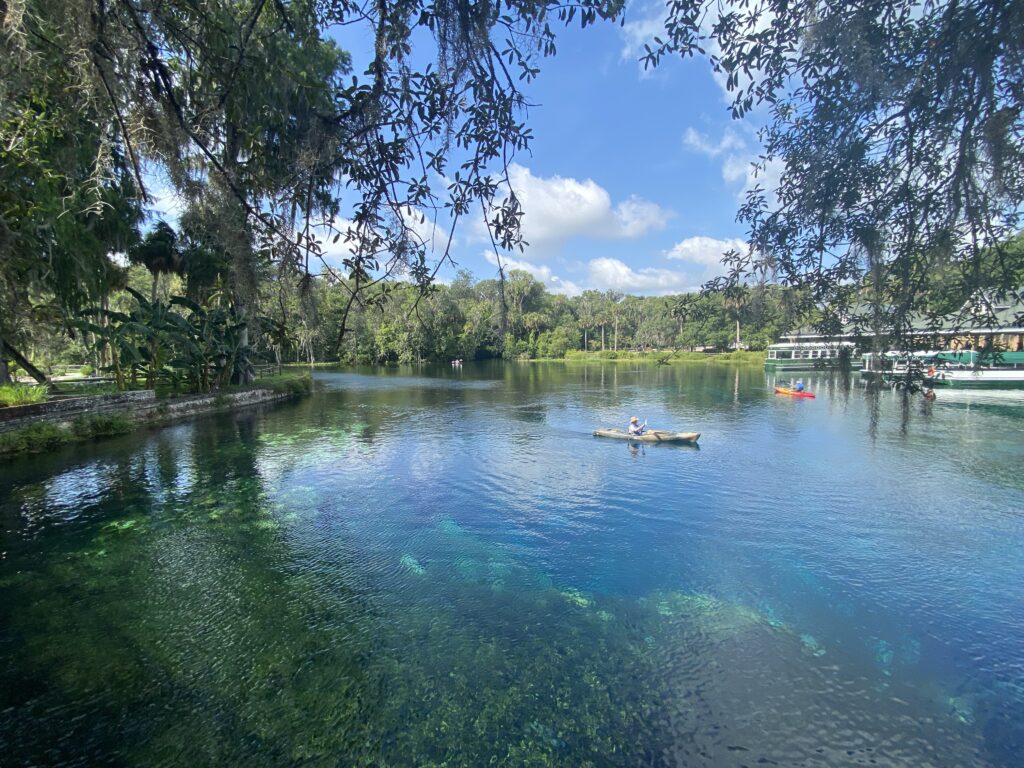 silver springs in ocala
