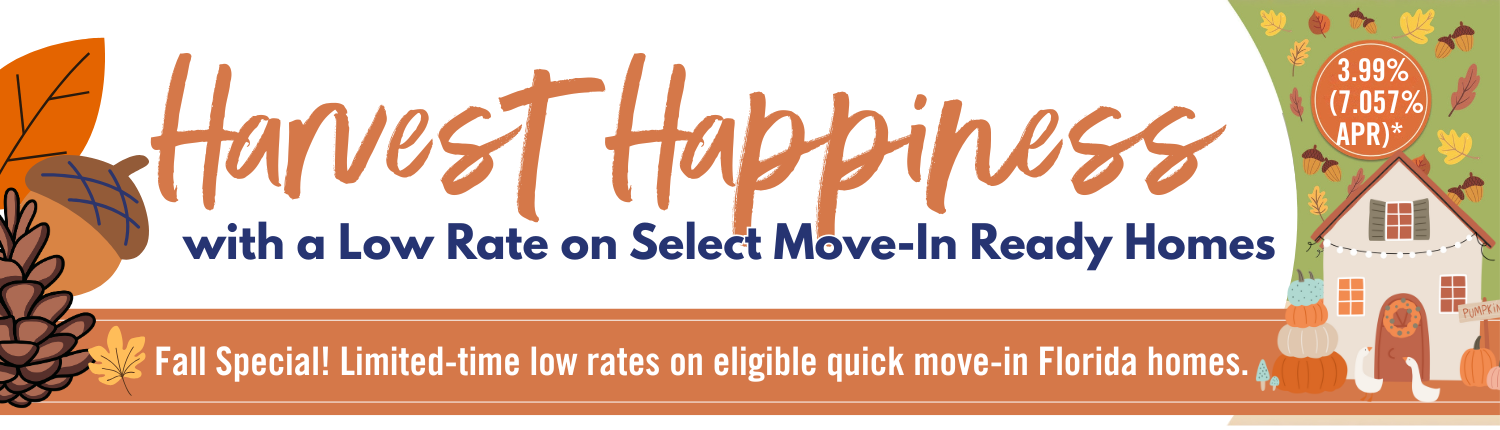 Holiday Builders 3.99 promotion